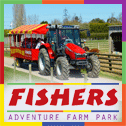 FishersBanner2013