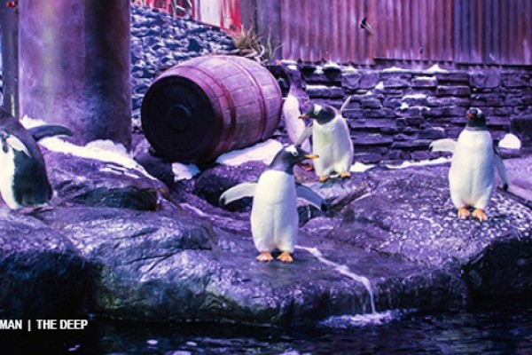 Kids Days out at the Deep