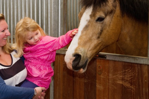 Kids Days Out Lancashire