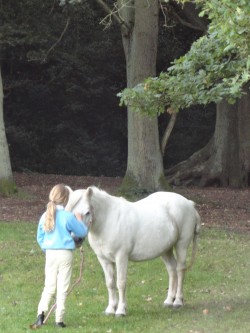 One of our ponies