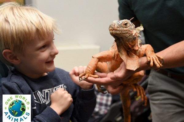 Animal Encounters Surrey