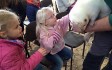animalencounters.jpg