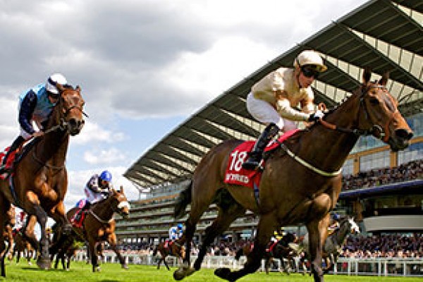 Lots of fun here for Kids Too at Ascot Races