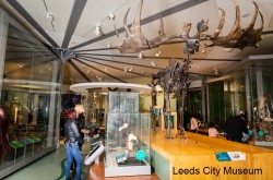 Attractions in Leeds