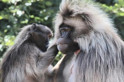 Banham Zoo Banham Zoo