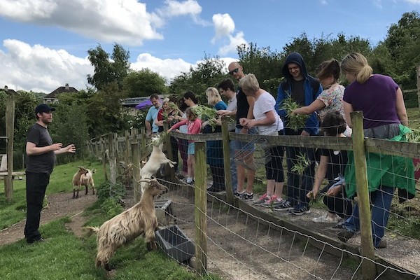 Bath City Farm