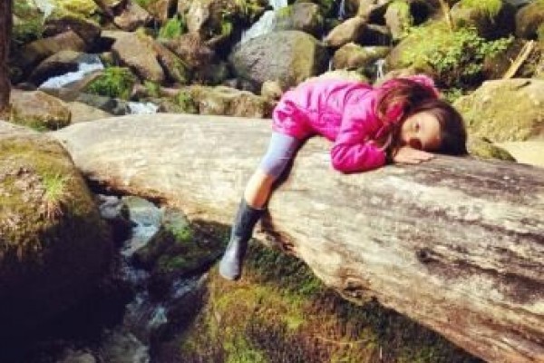 Becky Falls Ancient Woodland Park, Bovey Tracy, Dartmoor