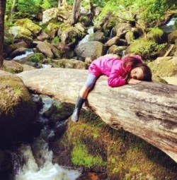 Becky Falls Ancient Woodland Park, Bovey Tracy, Dartmoor