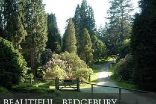 Bedgebury