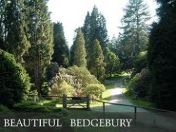 Bedgebury Bedgebury