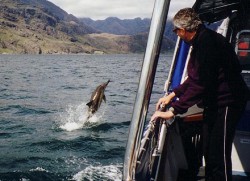 Bella Jane Boat Trips on the Isle of Skye