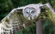 birdworld-farnham.jpg