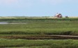 blakeney-salt-marsh.jpg