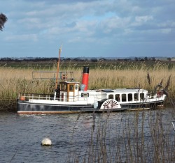 Boat trips Wareham