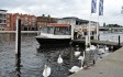 boat-trips-windsor.jpg