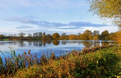 Brandon Nature Reserve