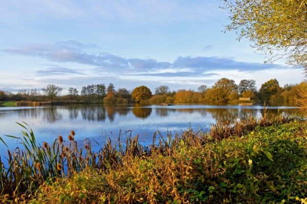 Brandon Nature Reserve