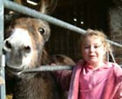 Broomey Croft Farm Attraction Broomey Croft Farm Attraction