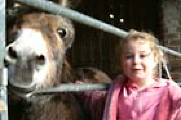 Broomey Croft Farm Attraction