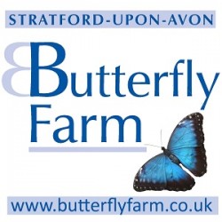 Butterflys Galore Stratford Upon Avon