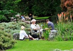 Cambridge Botanic Garden