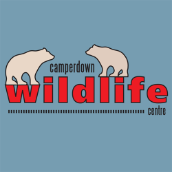 Camperdown Wildlife Scotland 