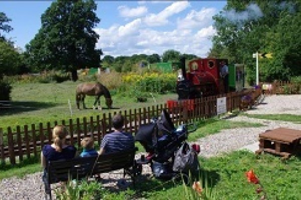 Kids Days Out Surrey