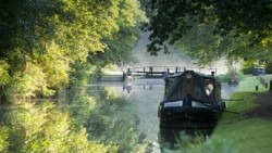 Waterside walks and boat trips Surrey