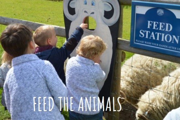 Kids feeding the lambs on their day out in Hertfordshire