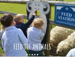 Kids feeding the lambs on their day out in Hertfordshire