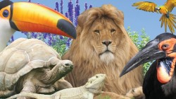 Pecan, tortoise and lion looking at the kids on their day out