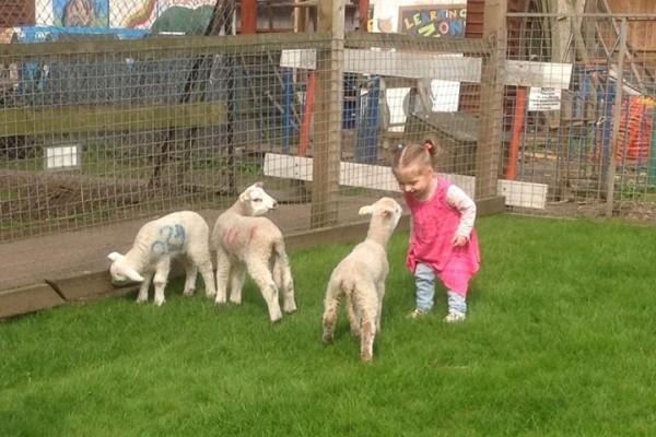 Days out toddlers Hertfordshire