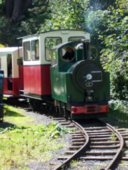 Day out with the kids Tiverton Day out with the kids Tiverton
