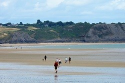 Dog Friendly Beaches Gower