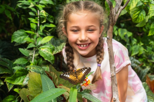 Tropical Butterfly House