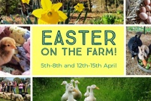 Easter activities in Kent