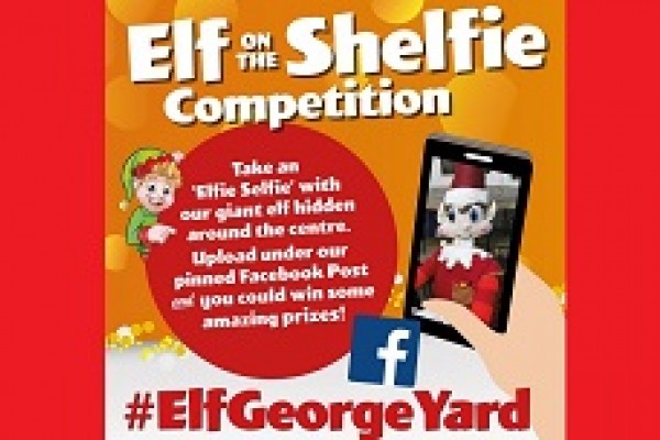 Elf on the Shelfie