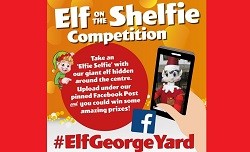 Elf on the Shelfie