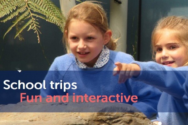 Image of kids enjoying School trip at Bristol Aquarium