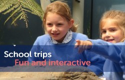 Image of kids enjoying School trip at Bristol Aquarium