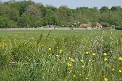 The Park in St Neots on a sunny summer day