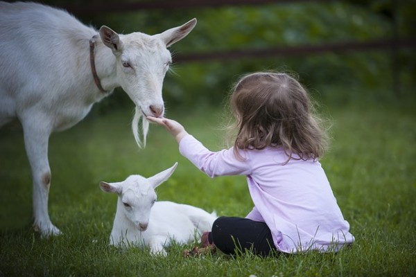 Family days out Leicestershire