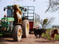 Family days out Powys