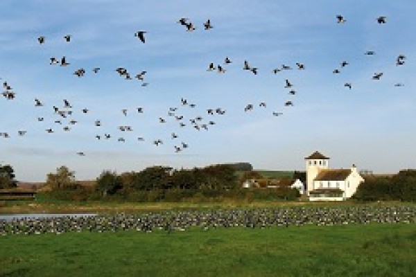 Feeding ducks in Dumfriess and Galloway