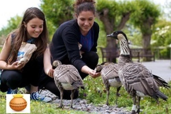 Feeding ducks Gloucestershire