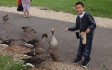 feeding-ducks-slimbridge.jpg