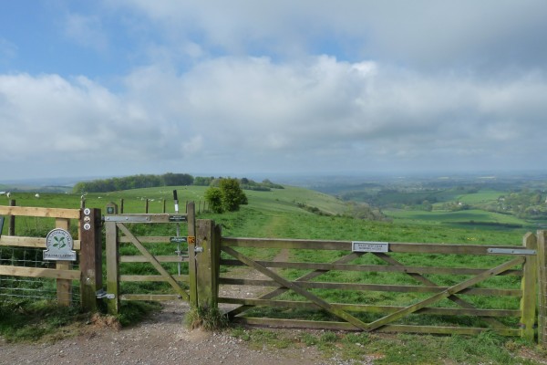 Fontmell Down - Shaftesbury