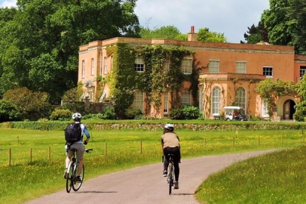 Gardens in Devon