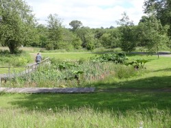 Gardens in Pembrokeshire