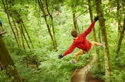 Kids Days Out at Go ape in Chelmsford Kids Days Out at Go ape in Chelmsford